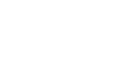 bolt logo